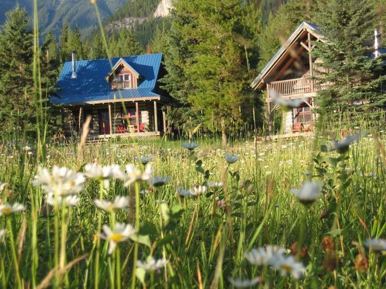 Nipika Mountain Resort Radium Hot Springs Luaran gambar