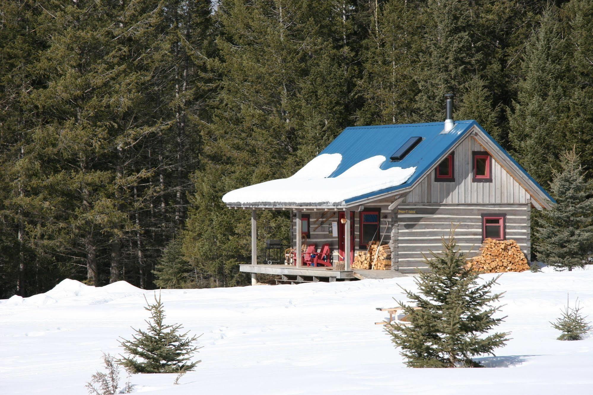 Nipika Mountain Resort Radium Hot Springs Luaran gambar